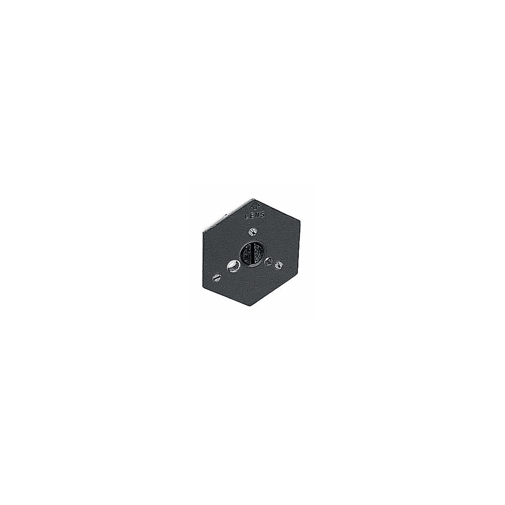 Manfrotto Assy Plate For 029 and 136, 3/8'' 130-38