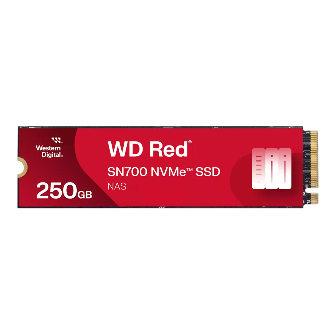 SANDISK WD Red SN700 NVMe SSD - 250GB